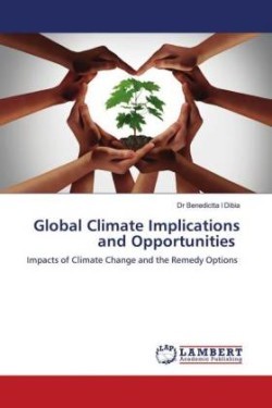Global Climate Implications and Opportunities