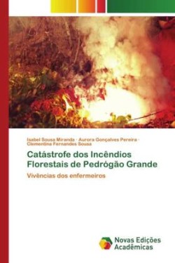 Catástrofe dos Incêndios Florestais de Pedrógão Grande