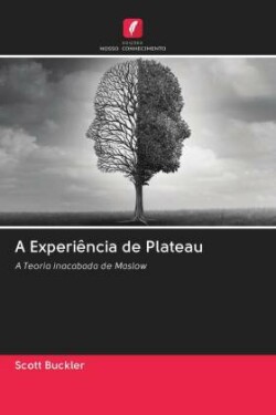 A Experiência de Plateau