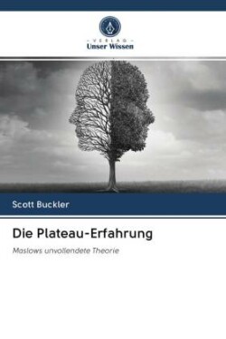 Die Plateau-Erfahrung