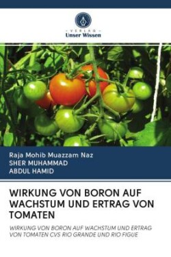 Wirkung Von Boron Auf Wachstum Und Ertrag Von Tomaten