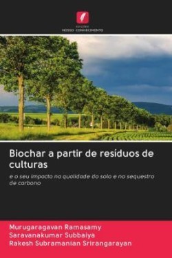 Biochar a partir de resíduos de culturas