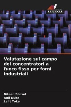 Valutazione sul campo dei concentratori a fuoco fisso per forni industriali