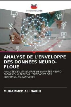 Analyse de l'Enveloppe Des Données Neuro-Floue