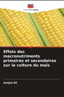 Effets des macronutriments primaires et secondaires sur la culture du maïs