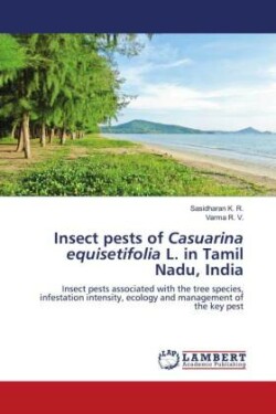 Insect pests of Casuarina equisetifolia L. in Tamil Nadu, India