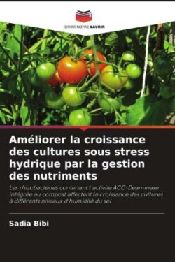 Améliorer la croissance des cultures sous stress hydrique par la gestion des nutriments