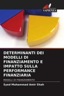 Determinanti Dei Modelli Di Finanziamento E Impatto Sulla Performance Finanziaria