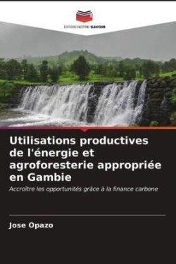 Utilisations productives de l'énergie et agroforesterie appropriée en Gambie