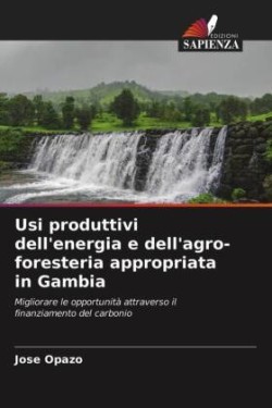 Usi produttivi dell'energia e dell'agro-foresteria appropriata in Gambia