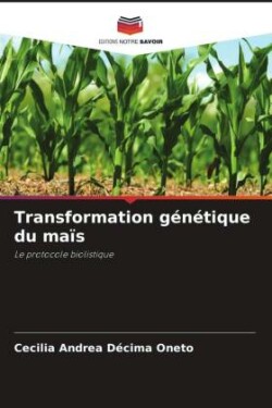 Transformation génétique du maïs