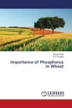 Importance of Phosphorus in Wheat