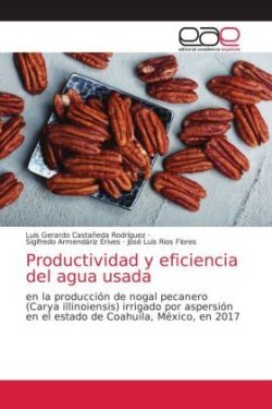 Productividad y eficiencia del agua usada