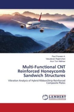 Multi-Functional CNT Reinforced Honeycomb Sandwich Structures