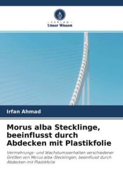 Morus alba Stecklinge, beeinflusst durch Abdecken mit Plastikfolie