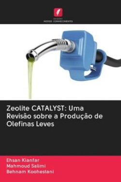 Zeolite CATALYST: Uma Revisão sobre a Produção de Olefinas Leves