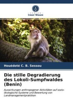 stille Degradierung des Lokoli-Sumpfwaldes (Benin)