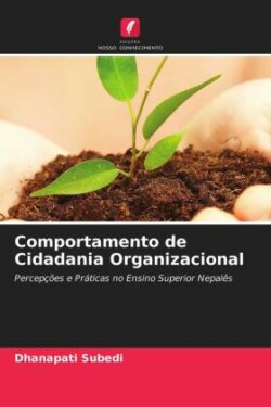 Comportamento de Cidadania Organizacional