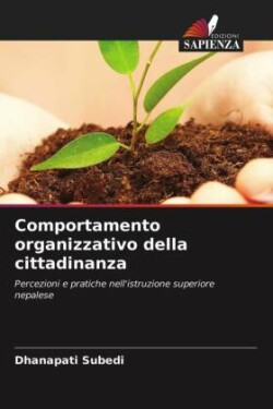 Comportamento organizzativo della cittadinanza