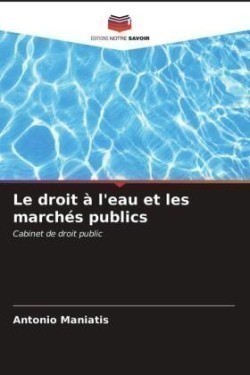 droit à l'eau et les marchés publics