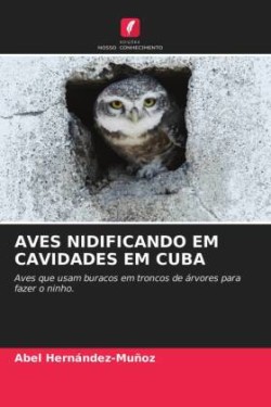 Aves Nidificando Em Cavidades Em Cuba