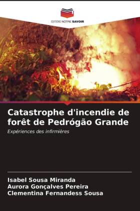 Catastrophe d'incendie de forêt de Pedrógão Grande