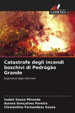 Catastrofe degli incendi boschivi di Pedrógão Grande