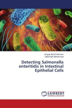 Detecting Salmonella enteritidis in Intestinal Epithelial Cells