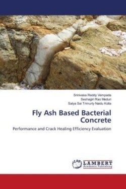 Fly Ash Based Bacterial Concrete