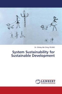 System Sustainability for Sustainable Development