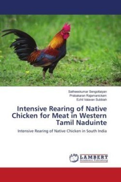 Intensive Rearing of Native Chicken for Meat in Western Tamil Naduinte