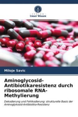 Aminoglycosid-Antibiotikaresistenz durch ribosomale RNA-Methylierung