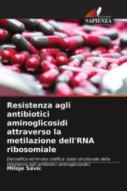 Resistenza agli antibiotici aminoglicosidi attraverso la metilazione dell'RNA ribosomiale