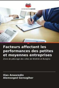 Facteurs affectant les performances des petites et moyennes entreprises