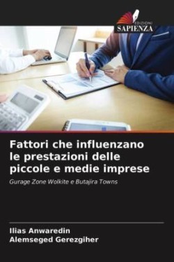 Fattori che influenzano le prestazioni delle piccole e medie imprese