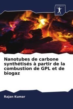Nanotubes de carbone synthétisés à partir de la combustion de GPL et de biogaz