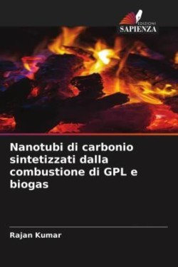 Nanotubi di carbonio sintetizzati dalla combustione di GPL e biogas
