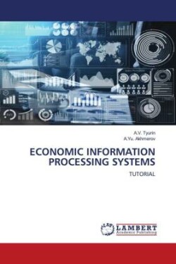 Economic Information Processing Systems