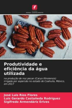 Produtividade e eficiência da água utilizada