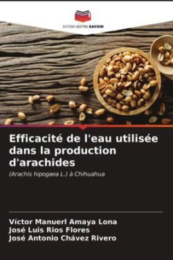 Efficacité de l'eau utilisée dans la production d'arachides