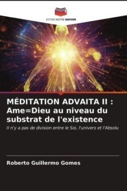 Méditation Advaita II