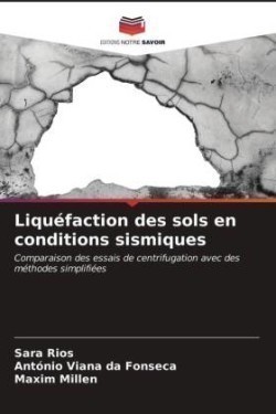 Liquéfaction des sols en conditions sismiques