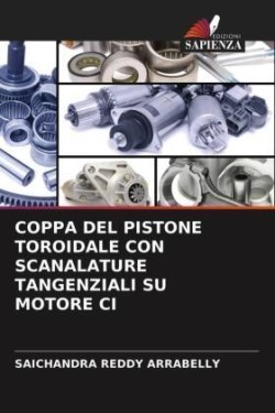 Coppa del Pistone Toroidale Con Scanalature Tangenziali Su Motore CI