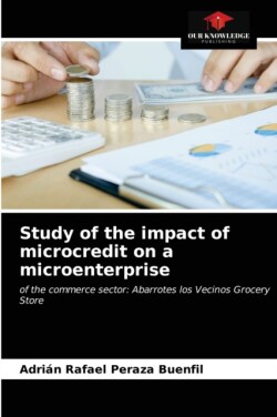 Study of the impact of microcredit on a microenterprise