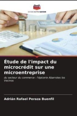 Étude de l'impact du microcrédit sur une microentreprise