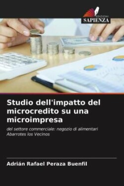 Studio dell'impatto del microcredito su una microimpresa