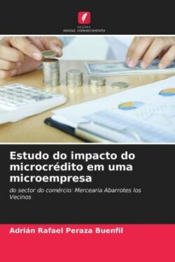 Estudo do impacto do microcrédito em uma microempresa