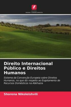 Direito Internacional Público e Direitos Humanos