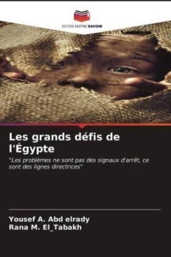 Les grands défis de l'Égypte