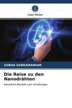 Reise zu den Nanodrähten